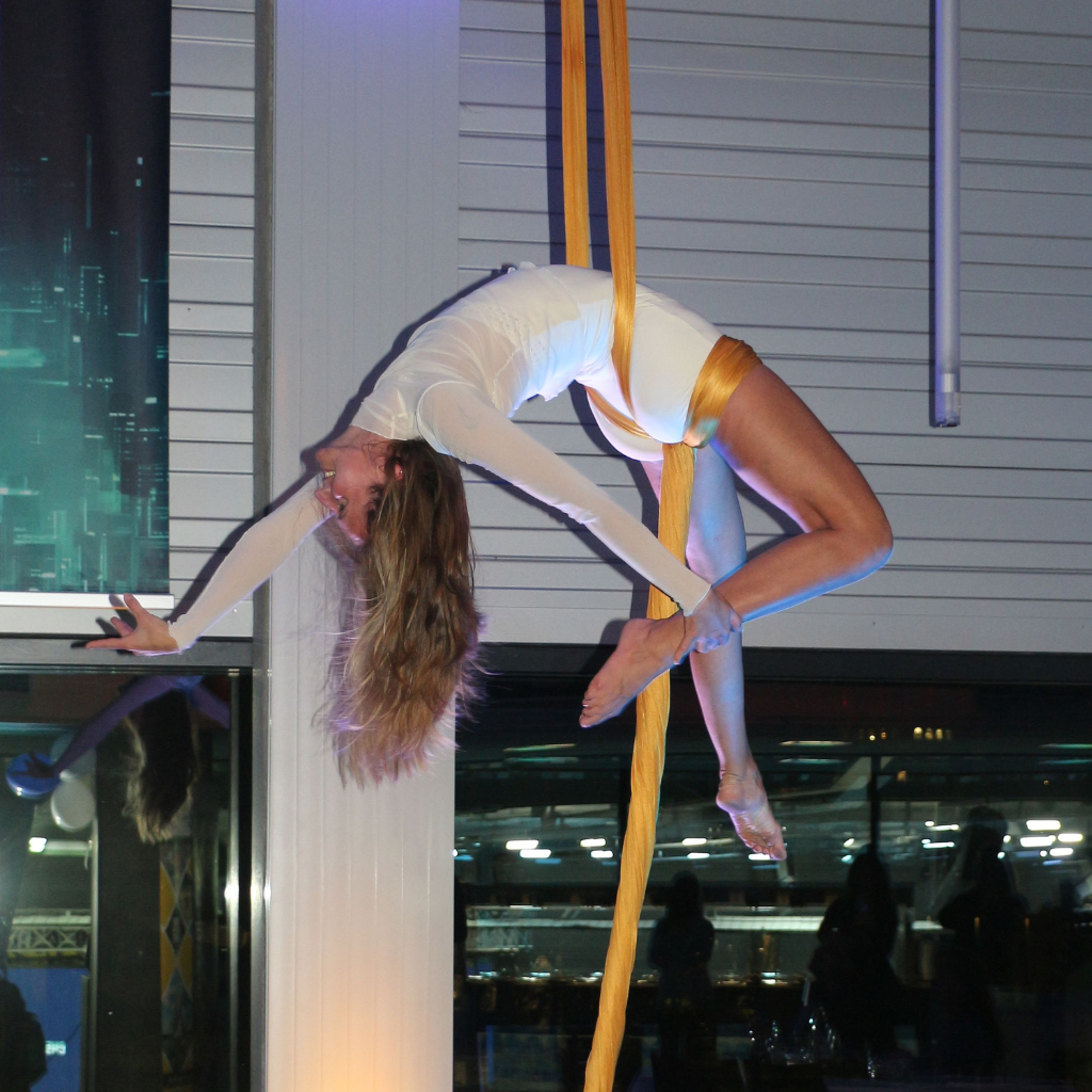 Aerial Silks Performance