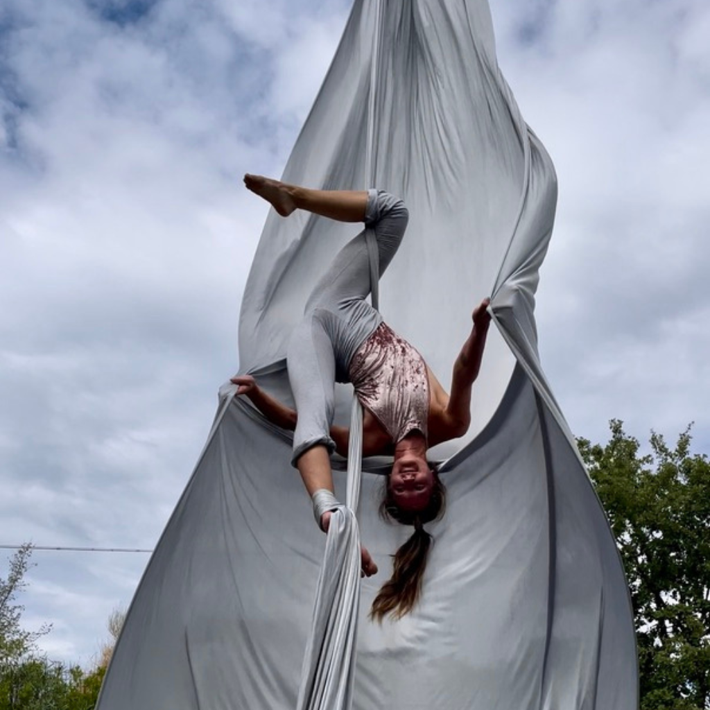 Aerial Silks (Vertikaltuch)